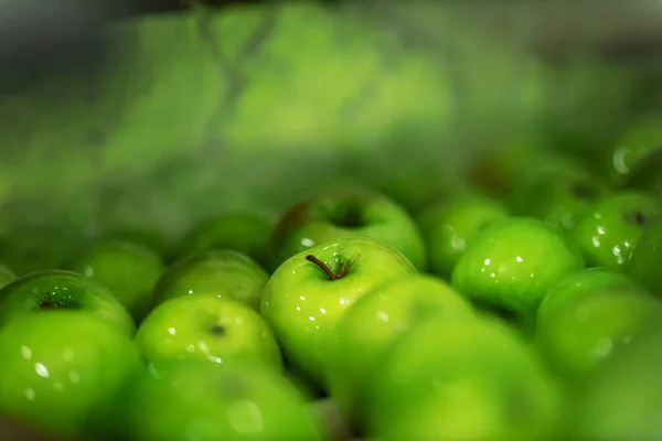 Green Delicious Apples Packing Line Fruit Warehouse Food Industry — Stock Photo, Image