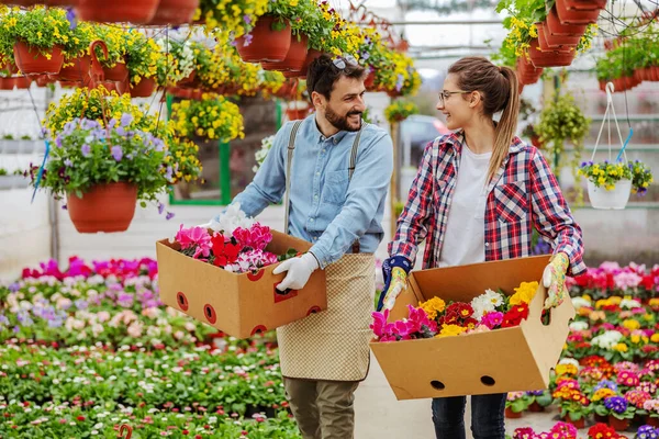 Két Mosolygós Kisvállalkozó Sétál Üvegházban Színes Virágokkal Teli Dobozokat Cipel — Stock Fotó