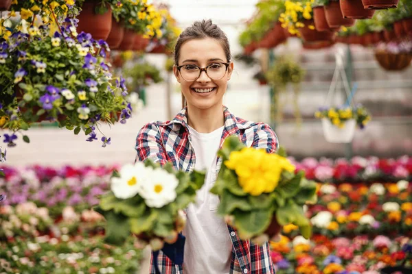 Jeune Entrepreneure Souriante Offrant Belles Fleurs Colorées Regardant Caméra Accent — Photo