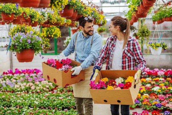 Deux Propriétaires Petites Entreprises Souriants Marchant Serre Portant Des Boîtes — Photo