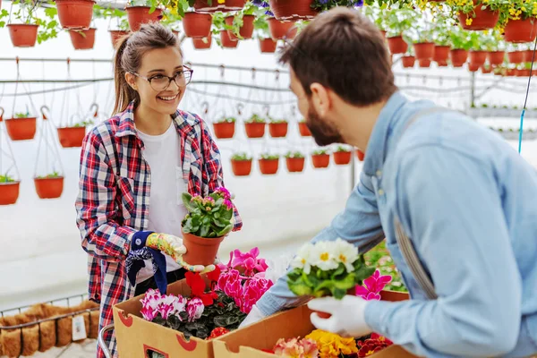 Couple Souriant Debout Dans Une Serre Sortant Des Fleurs Des — Photo