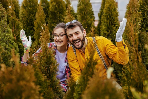 Dois Jovens Jardineiros Sorridentes Agachado Cercado Por Árvores Sempre Verdes — Fotografia de Stock