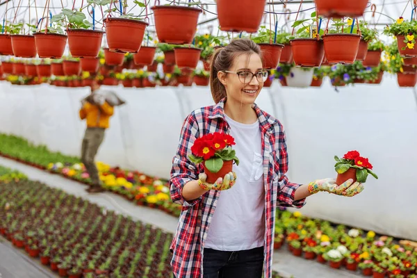 Imprenditrice Sorridente Piedi Serra Possesso Vasi Con Fiori Rossi — Foto Stock