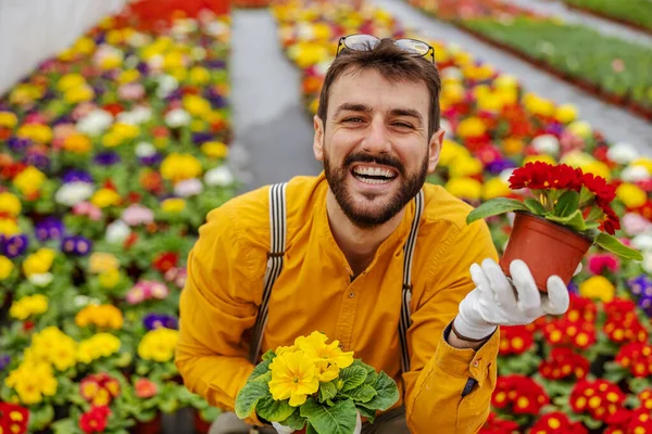 Giardiniere Sorridente Accovacciato Serra Con Porti Fioriti — Foto Stock