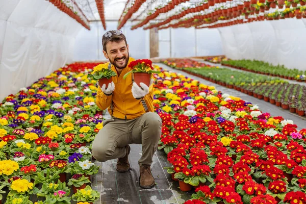 Lachende Ondernemer Hurkend Kas Bloemen Aanbieden Als Geschenk — Stockfoto