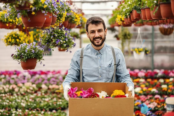 Usmívající Vousatý Zahradní Dělník Drží Krabici Krásnými Květinami Přesouvá — Stock fotografie
