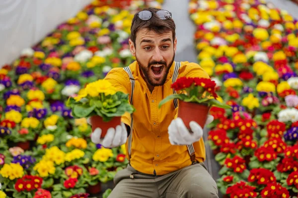 Usmívající Podnikatel Krčí Skleníku Nabízí Květiny Jako Dárek — Stock fotografie