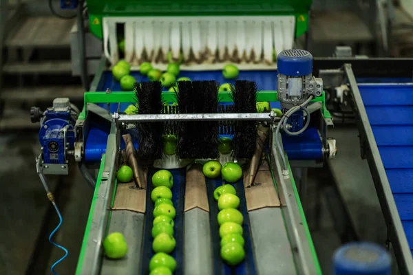 Embalagem Segura Triagem Maçãs Uma Fábrica Orgânica Processo Produção Triagem — Fotografia de Stock