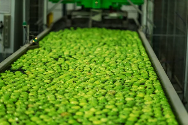 Organic fruit and vegetable industry. Production of green apples in a factory for the production and distribution of fruits. Floating apple, cleaning of ripe apples in the production plant with water