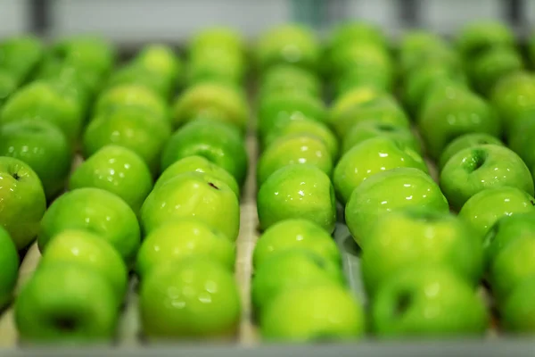 Olgunlaşmış Taze Yıkanmış Elmalar Organik Meyve Sebzeleri Ayırmak Seçmek Için — Stok fotoğraf