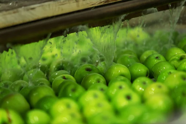 Fabrikada Elma Yıkama Kurutma Elmaların Üretim Sıralama Dağıtım Süreci Elmaları — Stok fotoğraf