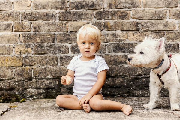 Child Dog Kid Beautiful Blue Eyes Light Hair Sits Ground Royalty Free Stock Photos