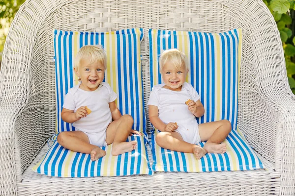 Sweet twins, a family full of love. The cute babies in the white bodysuits enjoy eating cookies and while sitting on a large canvas chair with colorful cushions. Twins with blue eyes and blonde hair
