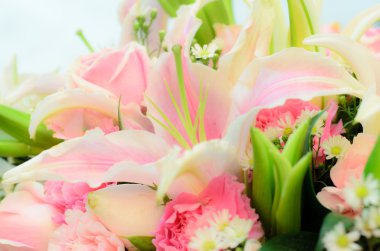 Çiçek yumuşak odak grup