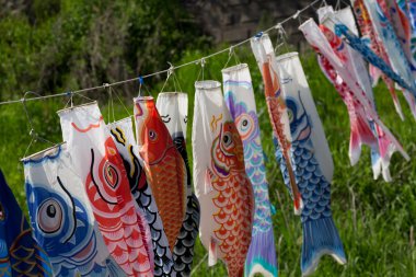 Sazan flama mavi gökyüzüne