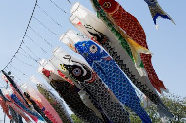 Sazan flama mavi gökyüzüne