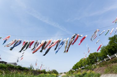 Sazan flama mavi gökyüzüne