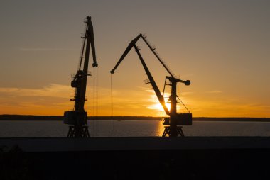 Gölde Vinçler gün batımında. Akşam.