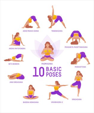 10 temel pozdan oluşan vektör çizimi. Trikonasana, Prasarita Padotanasana, Pasvottana, Vrksasana, Virabhadra-2, Baddha Konasana, Janu Sirsasana, Setu Bandha, Ardha Matsyendra, Adho Mukha Svana. 