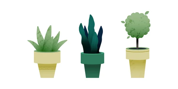 Conjunto Planta Crescente Pote Ilustração Moderna Vetores Planos Conceito Jardinagem — Vetor de Stock