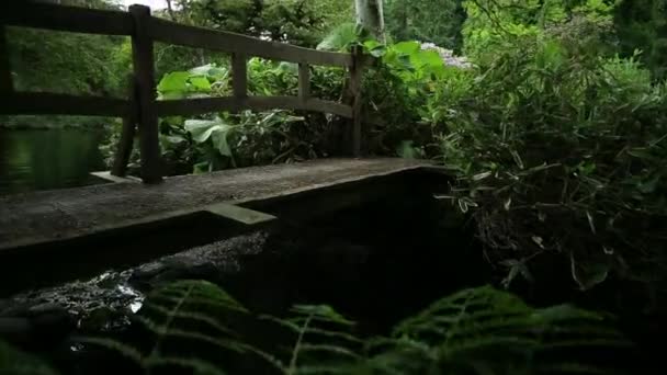 Die Brücke im Garten — Stockvideo