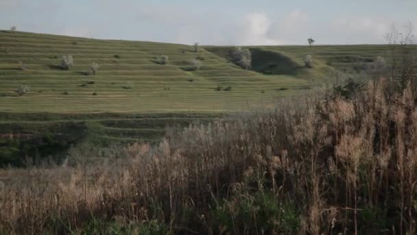 Valle — Vídeos de Stock