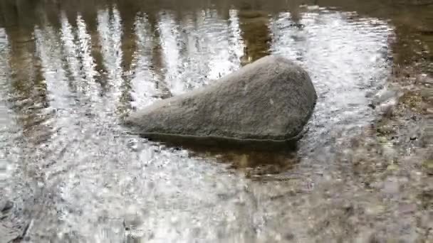 河流 — 图库视频影像