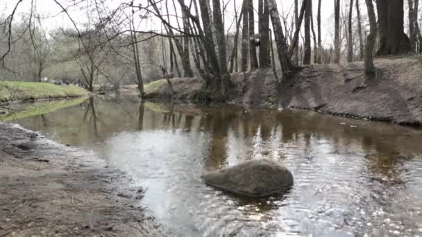 Река — стоковое видео