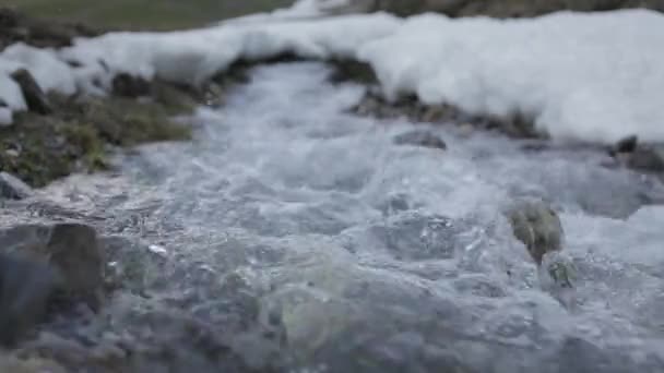 Fast flowing stream — Stock Video