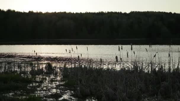 Пік річки — стокове відео