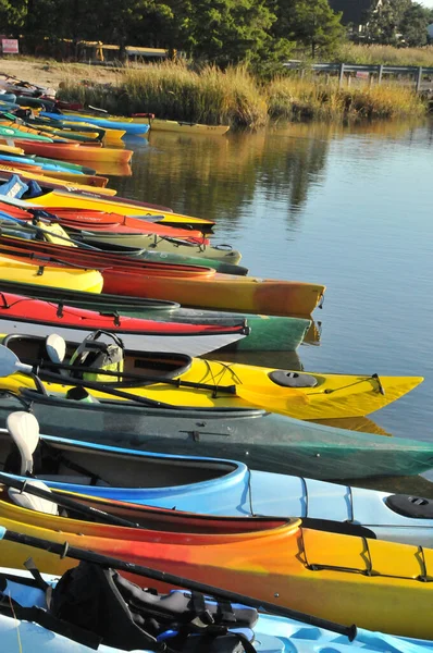 An array of kayaks lined up at the water\'s edge ready for launching.
