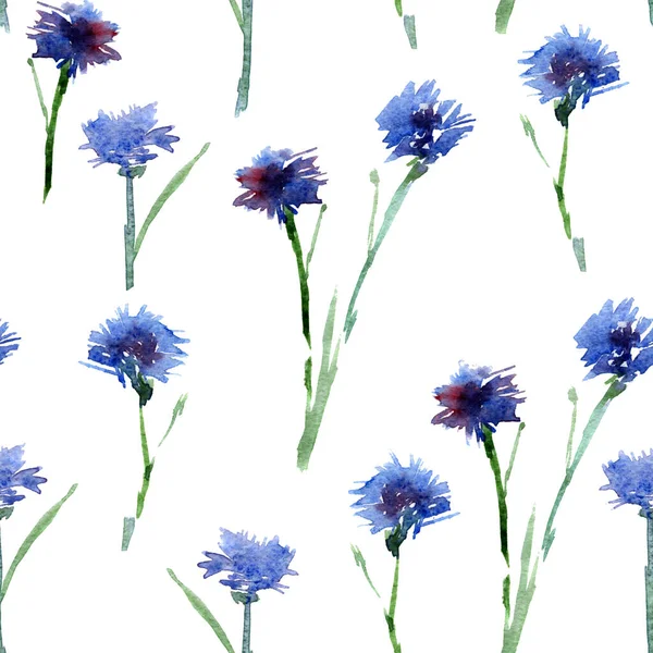 Padrão Sem Costura Flores Azuis Cornflower Para Decoração Cartões Postais — Fotografia de Stock