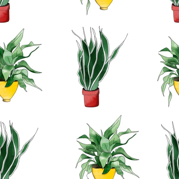 Patrón Plantas Casas Tropicales Para Decoración Envoltorios Regalo Trabajos Diseño —  Fotos de Stock