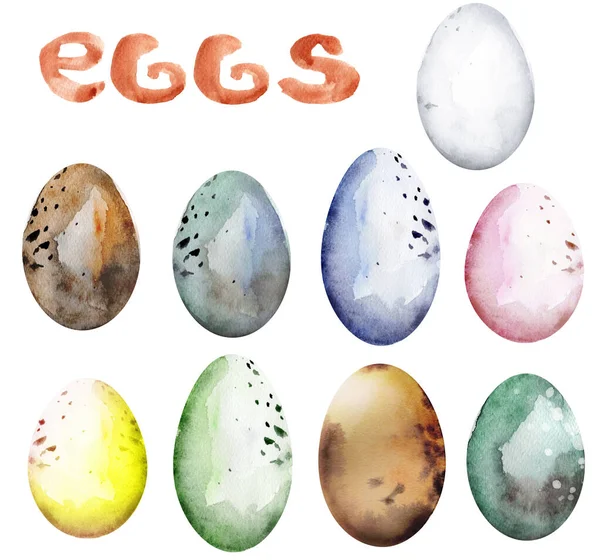 鳥の卵の水彩セットと装飾のためのレタリング チラシ ウェブ お土産 デザイン 招待状 — ストック写真