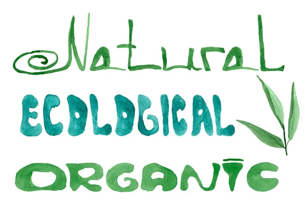 Lettrage Aquarelle Naturel Écologique Biologique Modèle Pour Décoration Dessins Illustrations — Photo