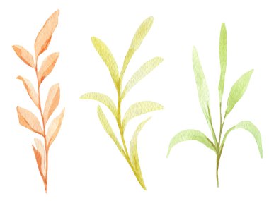 Suluboya sonbahar brunch seti. Tasarım ve çizimler için şablon.