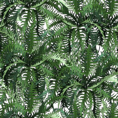 Tropik eğreltiotu deseni. Tasarım ve çizimler için şablon.