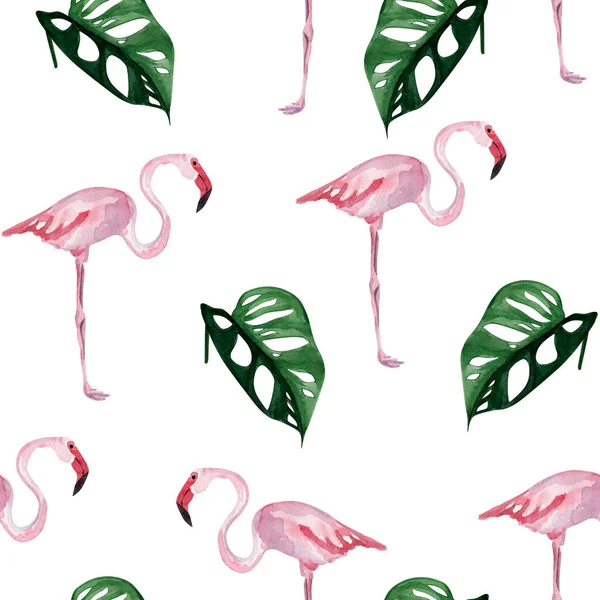 분홍빛 플라밍고와 바다색 도안과 삽화를 장식하는 — 스톡 사진