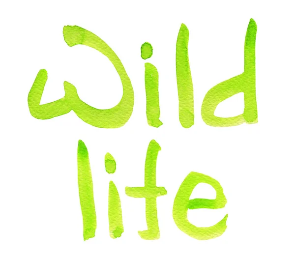 Wild Life Aquarel Handschrift Model Voor Het Decoreren Van Ontwerpen — Stockfoto