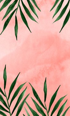 Suluboya duvar arka planında tropik palmiye yaprakları. Tasarım ve çizimler için şablon.