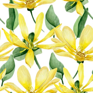 Sarı su zambağı suluboya desenli. Tasarım ve çizimler için şablon.