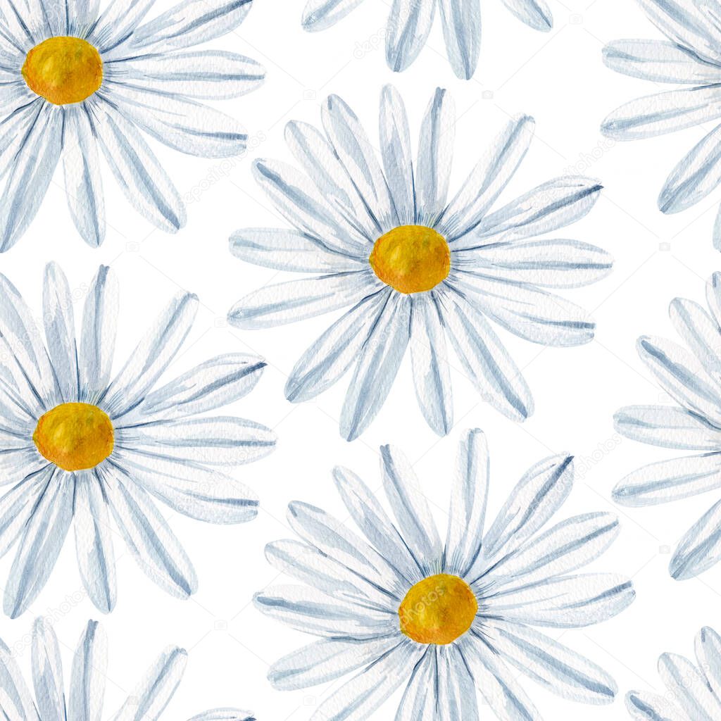Field dotted with daisies watercolor seamless pattern. Template for decorating designs and illustrations.