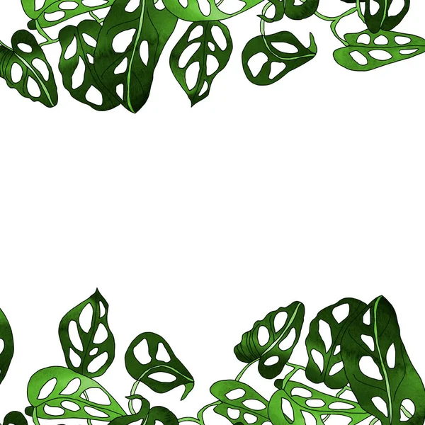Tropik Bir Canavarın Yeşil Yaprakları Şeklinde Çerçevelenmiş Tasarım Çizimler Için — Stok fotoğraf