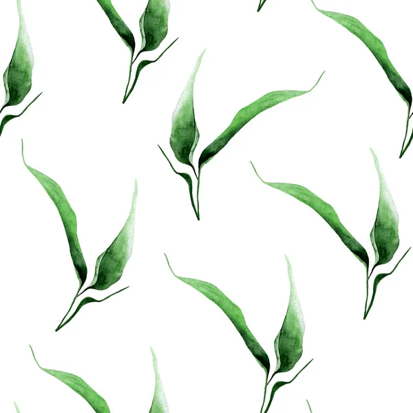 Chá Folhas Aquarela Padrão Sem Costura Modelo Para Decorar Desenhos — Fotografia de Stock