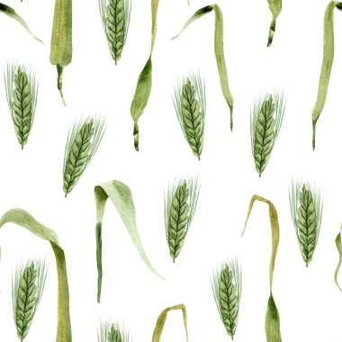  Buğday tarlası suluboya desenli. Tasarım ve çizimler için şablon.