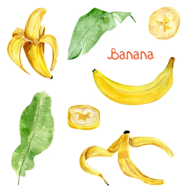 Plátanos Set Acuarela Ilustración Plantilla Para Decorar Diseños Ilustraciones —  Fotos de Stock