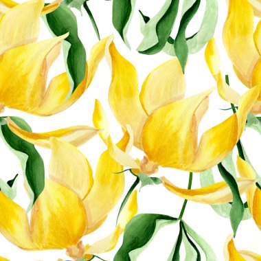 Kananga çiçeği suluboya kusursuz desen. Tasarım ve çizimler için şablon.