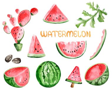 Karpuz suluboya seti çizimi. Tasarım ve çizimler için şablon.