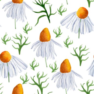 Papatya, suluboya desenli rüyalar görür. Tasarım ve çizimler için şablon.