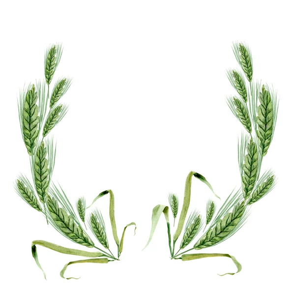 Yeşil Buğday Kulaklı Suluboya Çerçeve Tasarım Çizimler Için Şablon — Stok fotoğraf